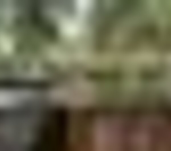 tiny_thumb_37_pr3_gav