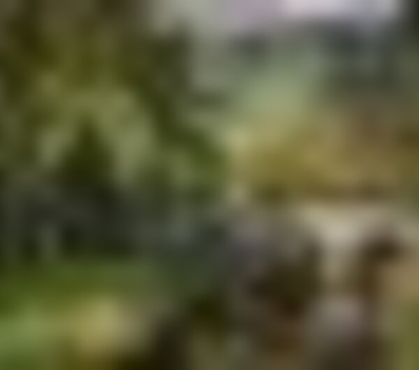 tiny_thumb_fernando_algarvio_ponte_quinhentista