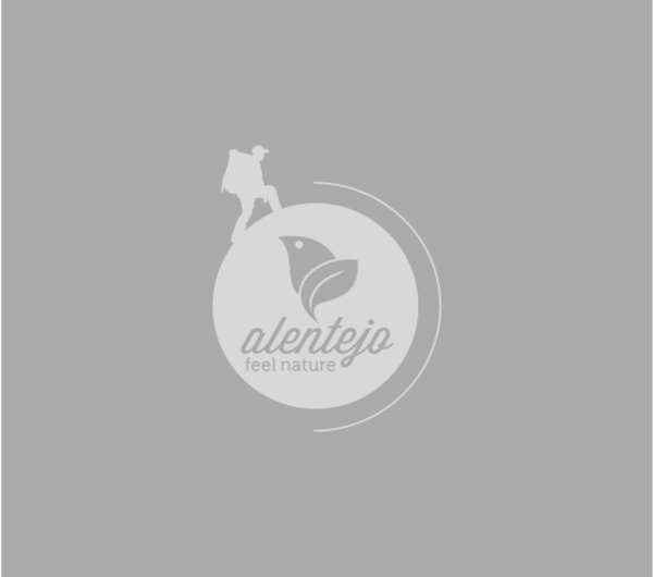 default_600x530