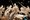 tiny_thumb_centro_interpretacao_batalha_atoleiros