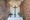 tiny_thumb_lista