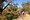 tiny_thumb_02_27_foto_ciclo_de_caminhadas_2018_iniciou_se_em_assumar__159_