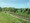 tiny_thumb_transalentejo_fronteira_selecao01___foto_048