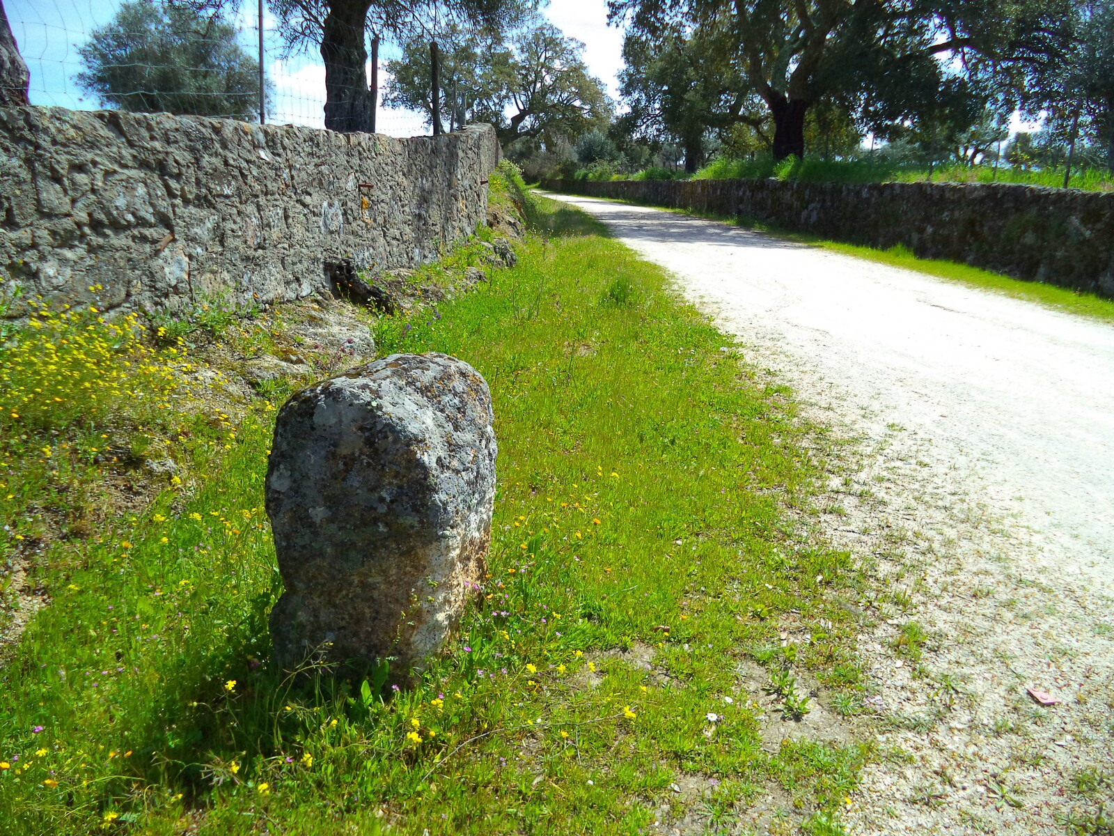 transalentejo_castelo_de_vide_selecao01___foto_030